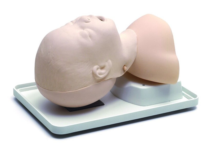 Infant Airway Management Trainer