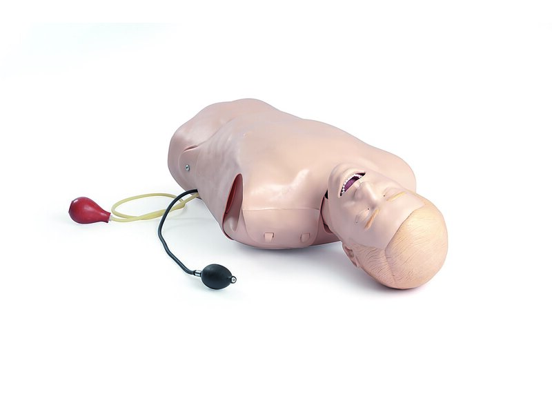 Deluxe Difficult Airway Trainer - Standard