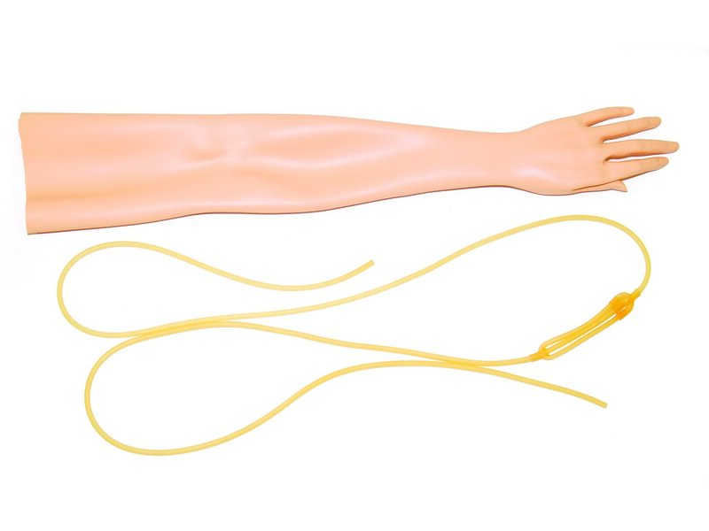 Replacement Skin and Vein System, Female