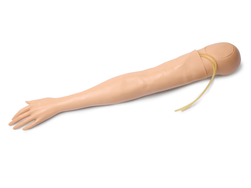 Multi-Venous Arm, Adult Female, Left