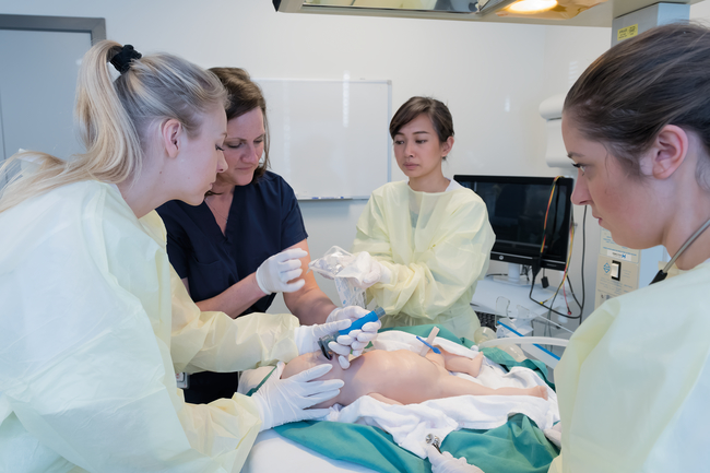 Mannequin de soins du nouveau-né, foncée - 1017862 - Gaumard - S100.D - Les  soins aux patients nouveau-nés - 3B Scientific