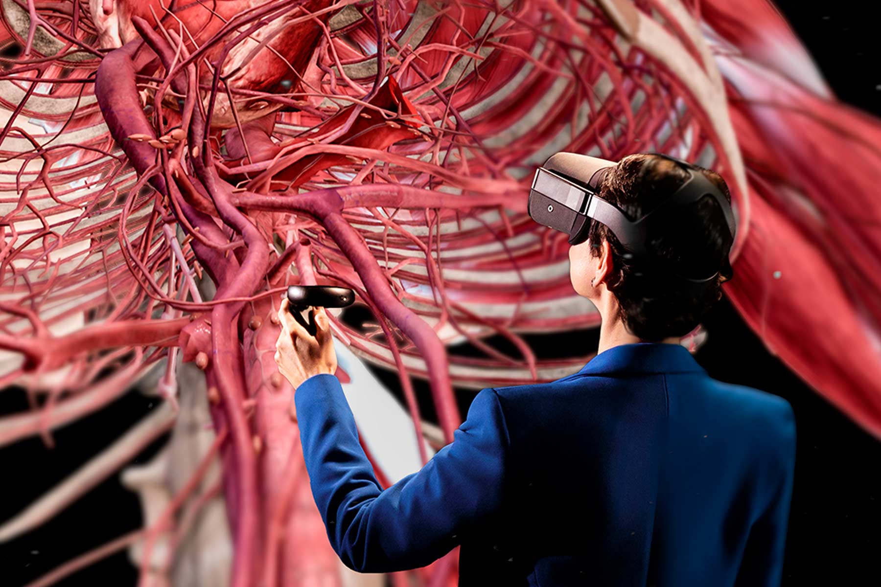 Person using VR to learn anatomy