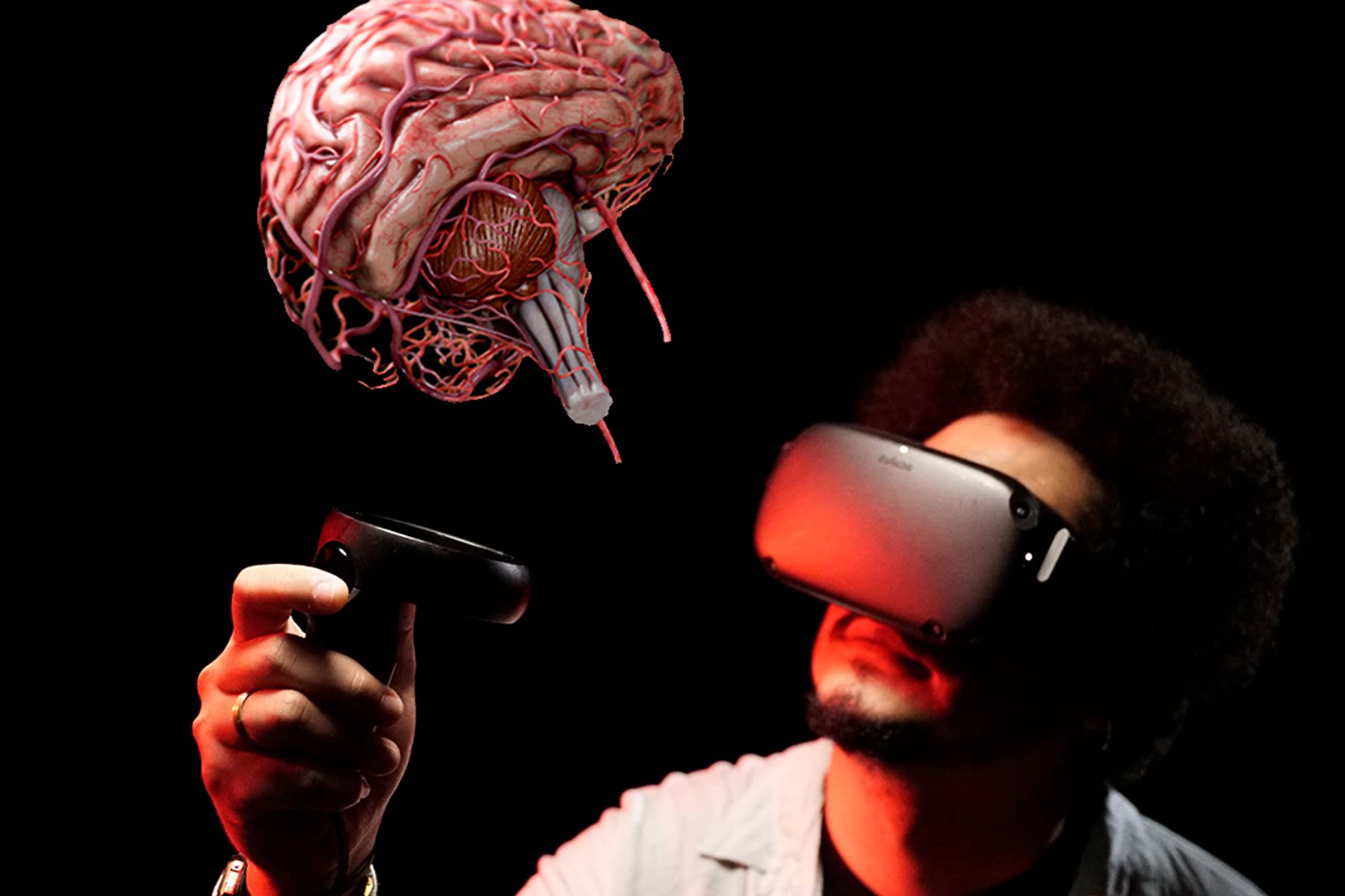 Person studying a VR image of a brain