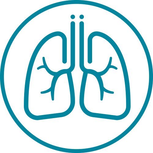 Advanced Airway Management Icon