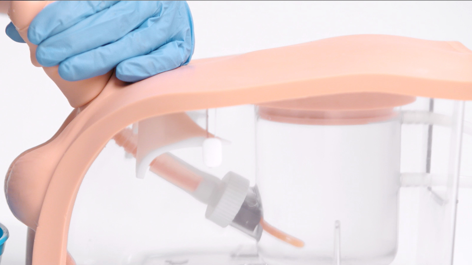 Advanced Catheterisation Trainer