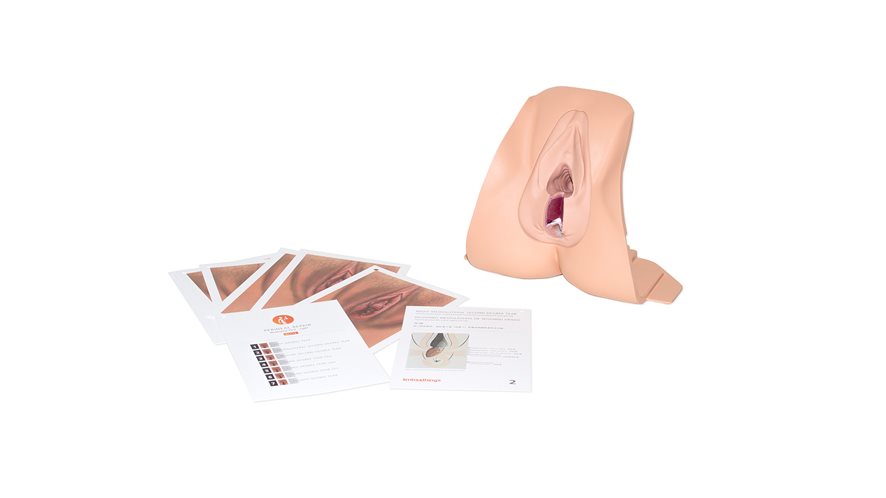 61102-anal_sphincter_repair_trainer-light-01.jpg 61102-anal_sphincter_repair_trainer-light-01.jpg