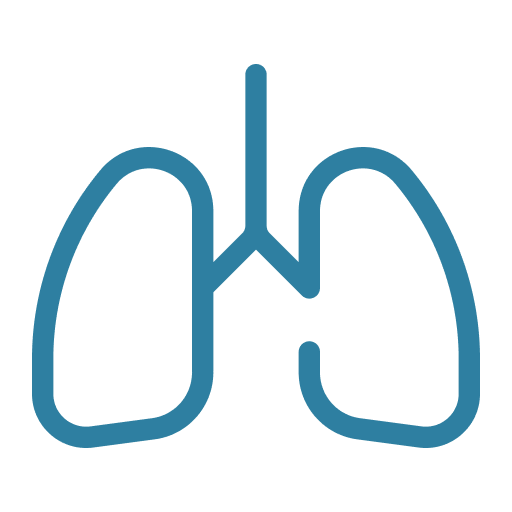 Ventilation lungs.png