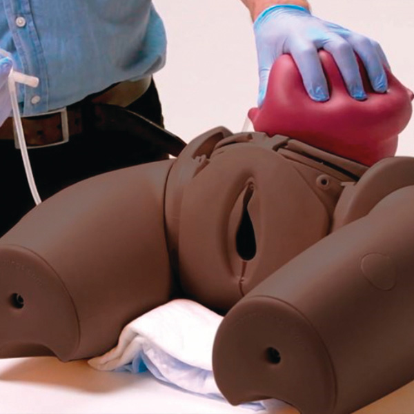 Obstetric Simulators: Minikin Childbirth