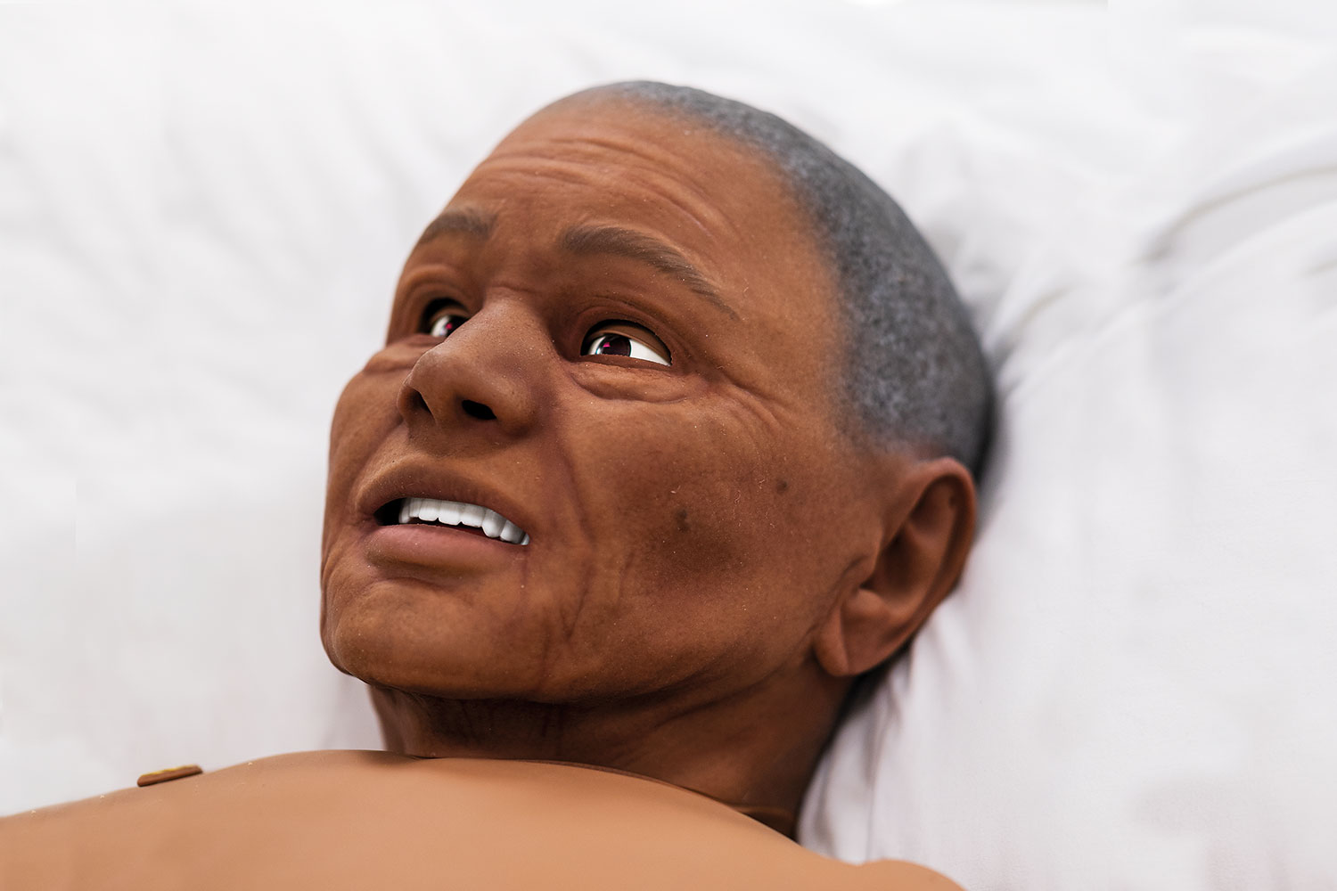 2NZ3128-simman-3g-plus-geriatric.jpg