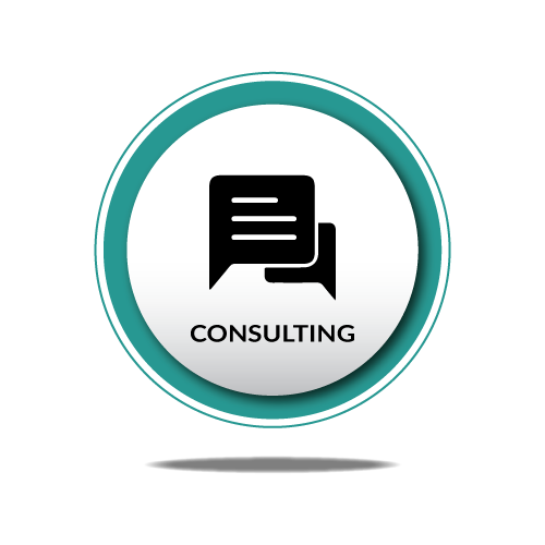 consulting-icon.png
