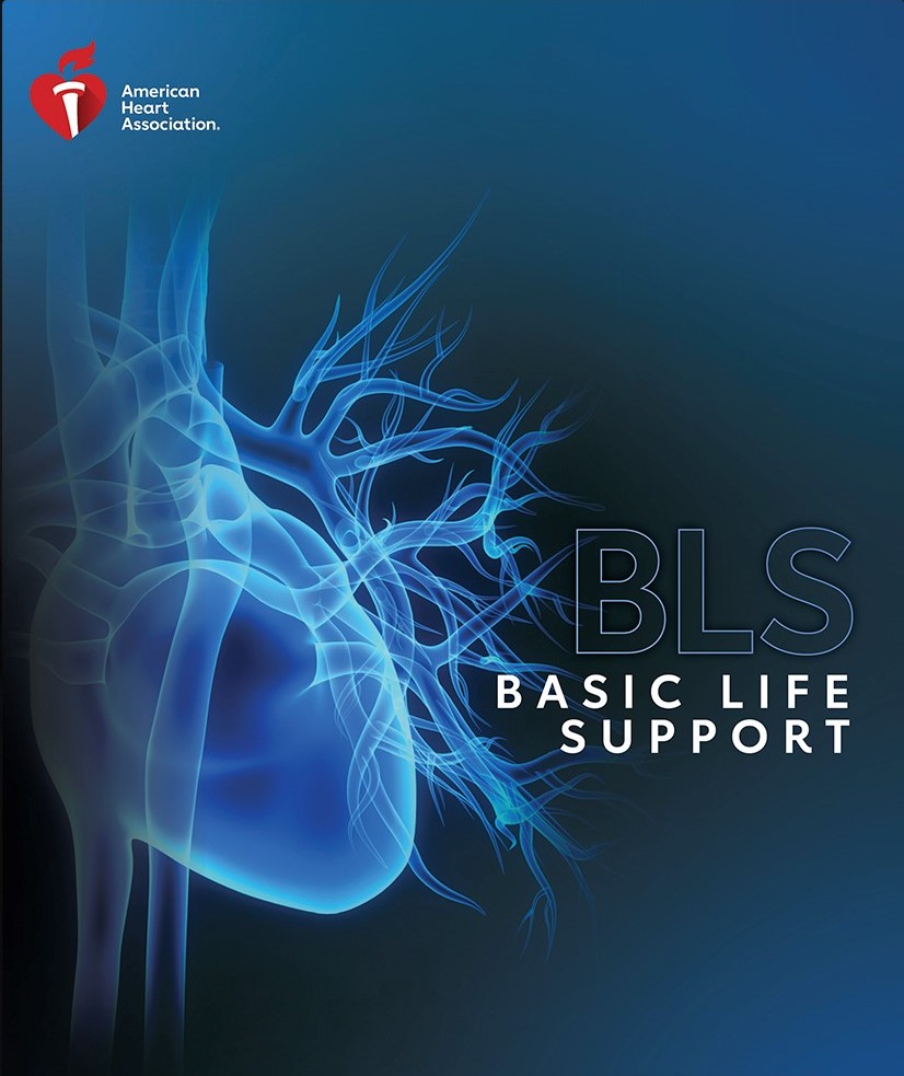 Bls course hot sale