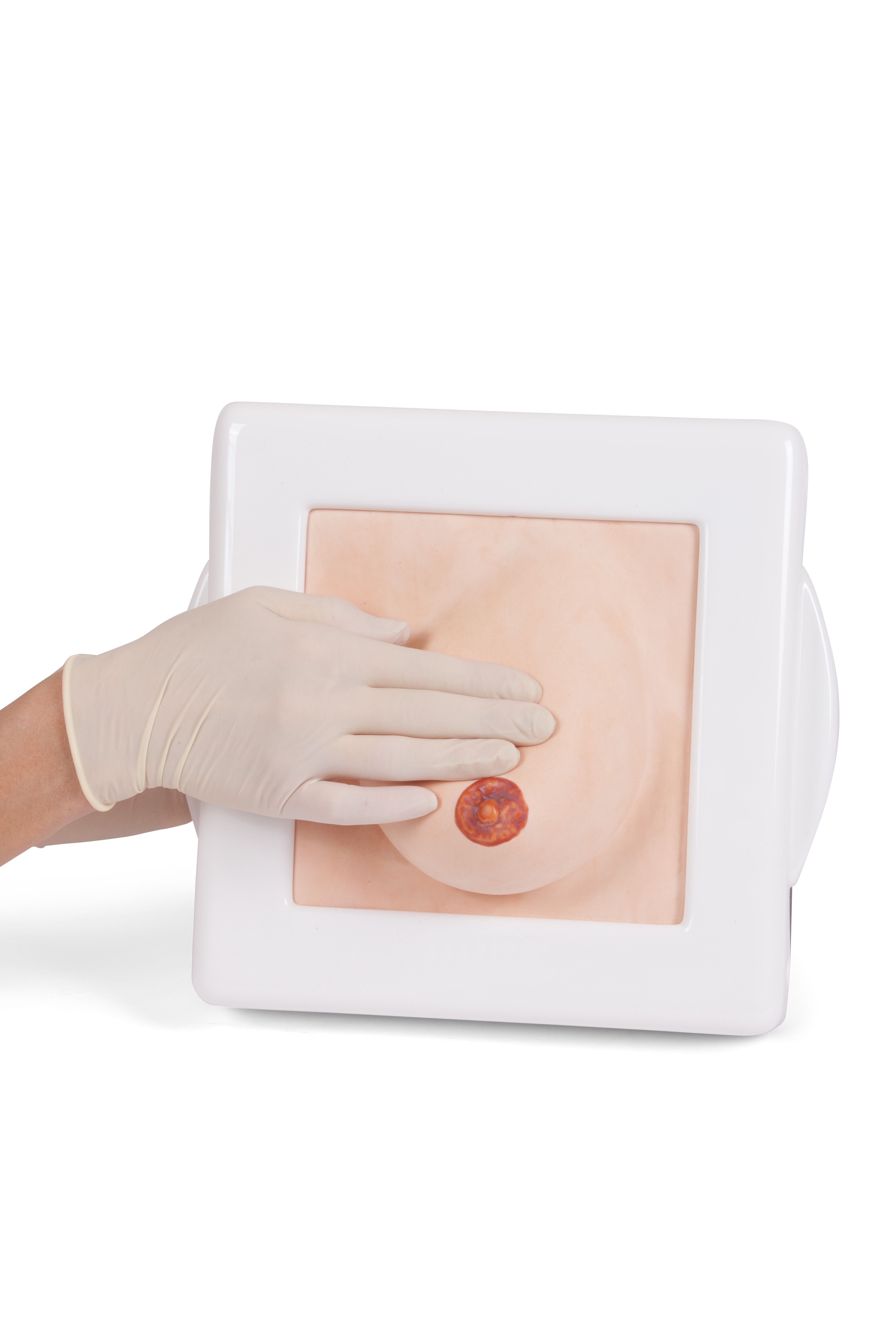 40044-2-examination-diagnostic-breast-trainer-hands-on-examine.jpg