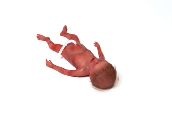 SIMCharacters Paul