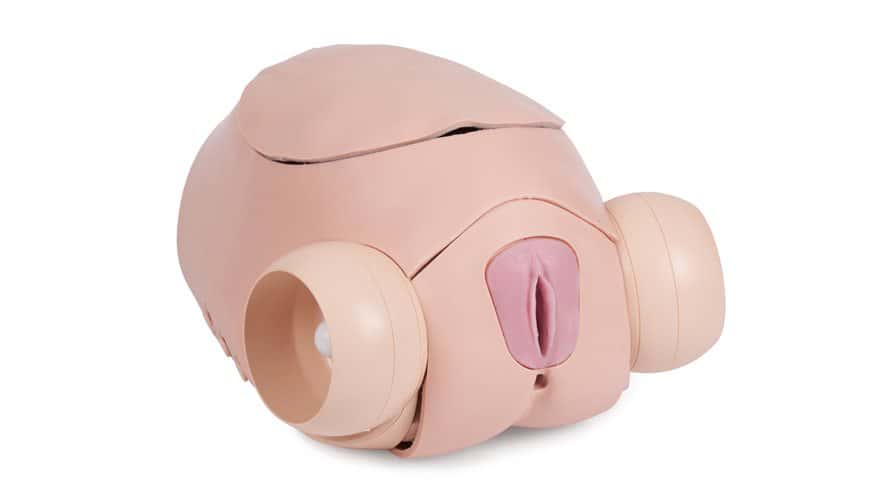 Surgical Female Pelvic Trainer