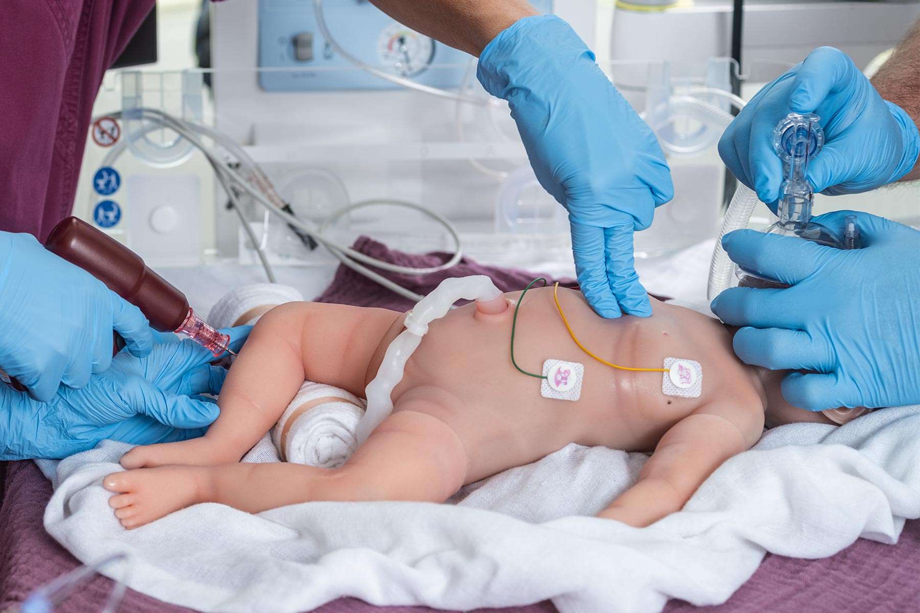 cpr being performed on Emma Simulator
