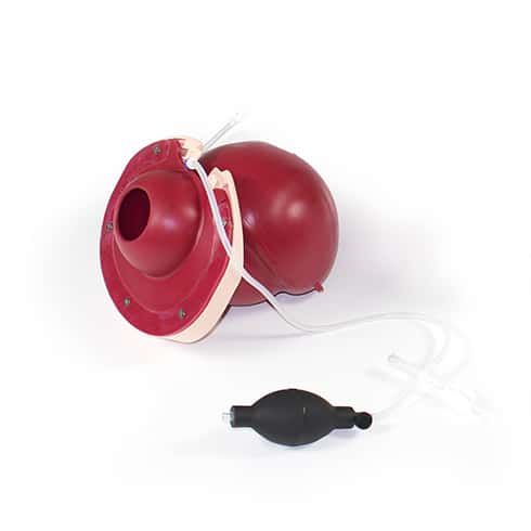 Modul für postpartale Blutungen