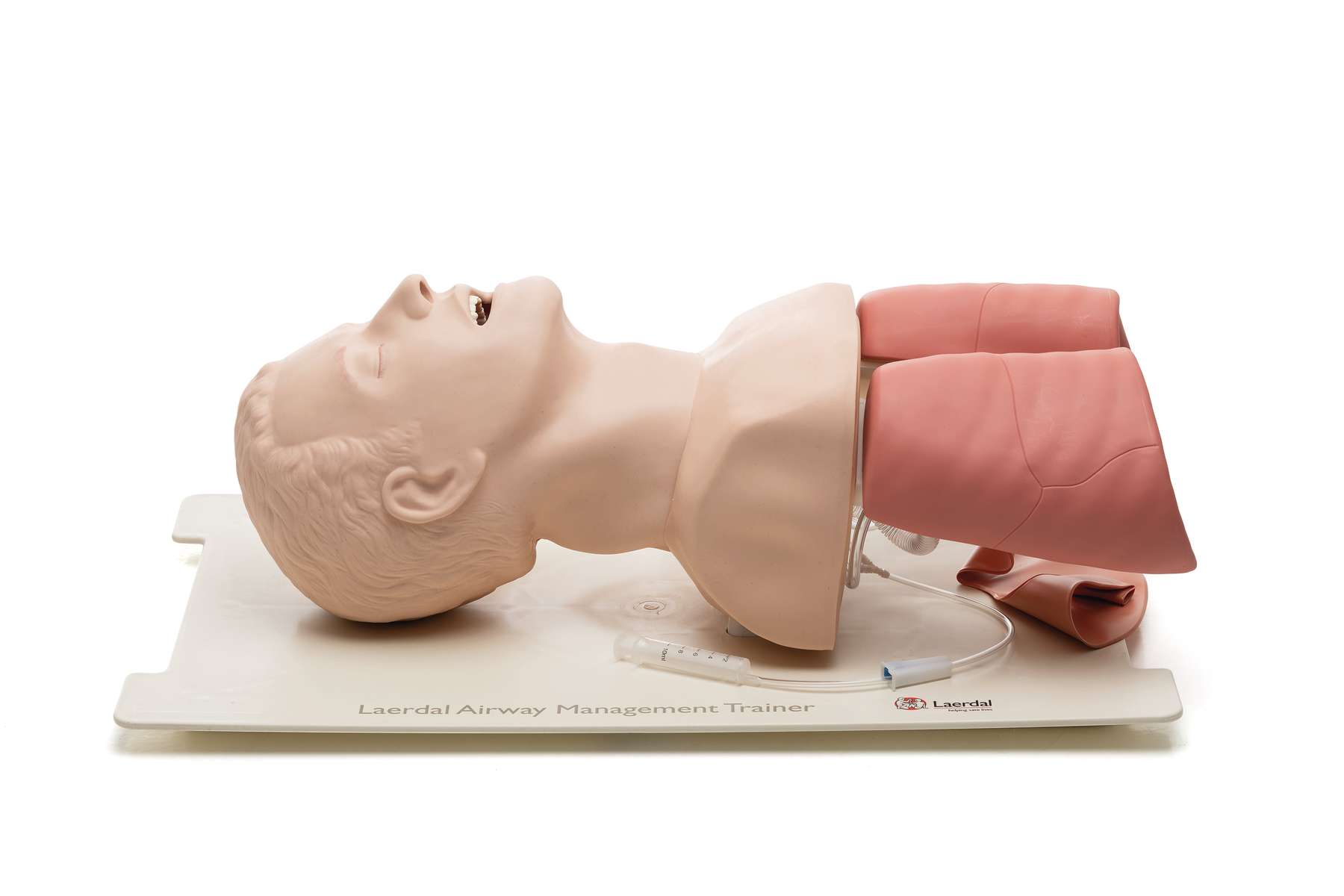Trenażer do intubacji Laerdal Airway Management Trainer