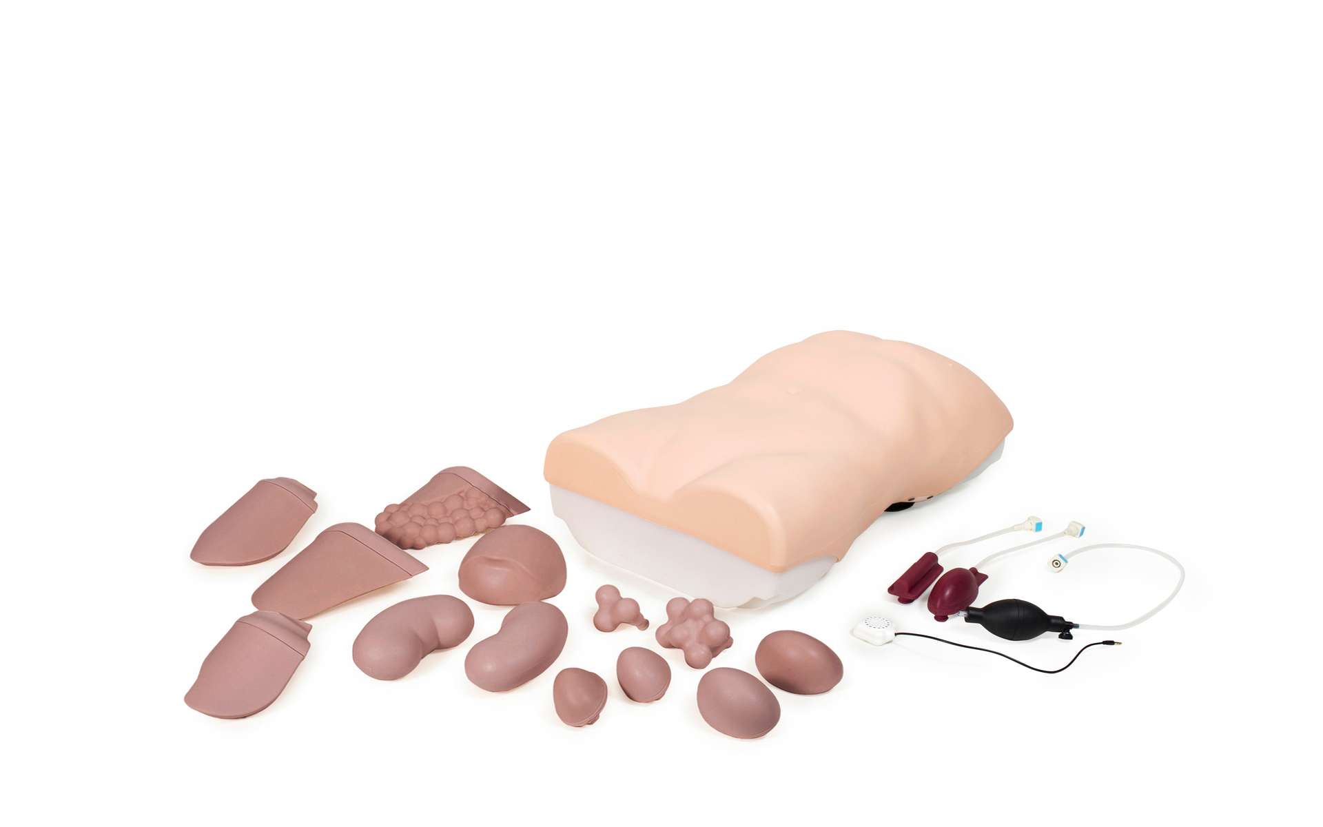 Fantom badania jamy brzusznej Abdominal Examination Trainer