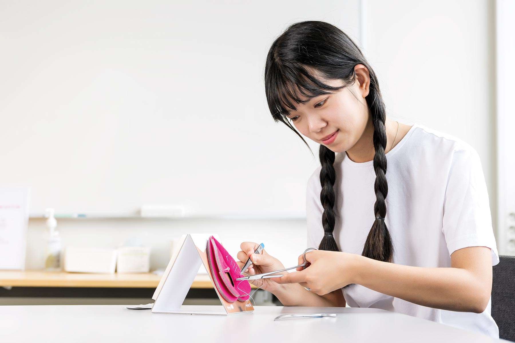 Labia Repair Model Labia Repair Model