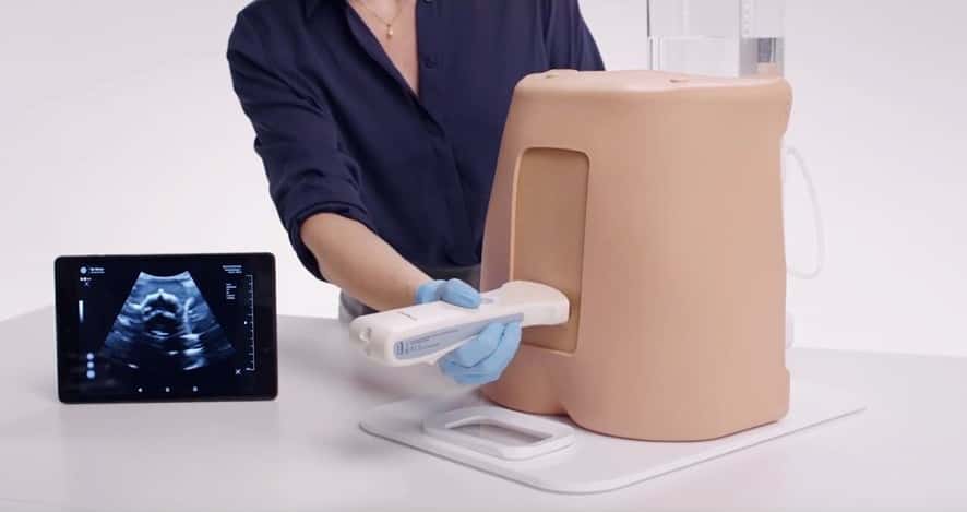 Ultrasound Epidural & Lumbar Puncture Model