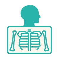 Wizualizacja anatomiczna