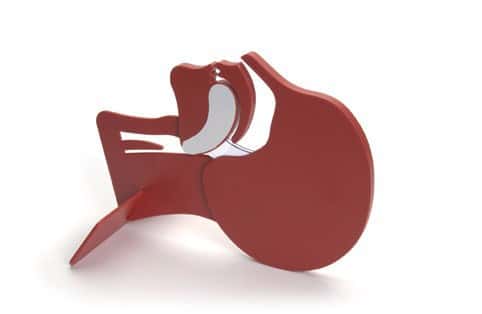 Modèle de tête en coupe Modèle de tête en coupe