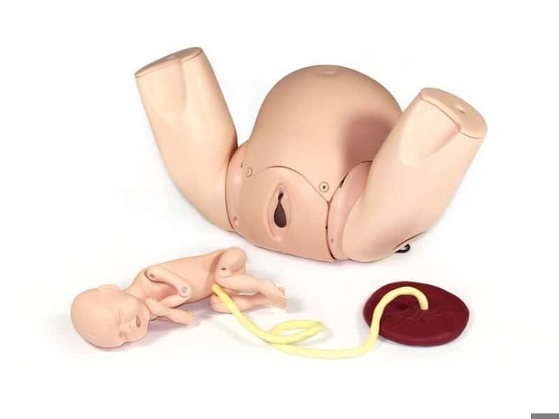 PROMPT Flex Birthing Simulator - Standard