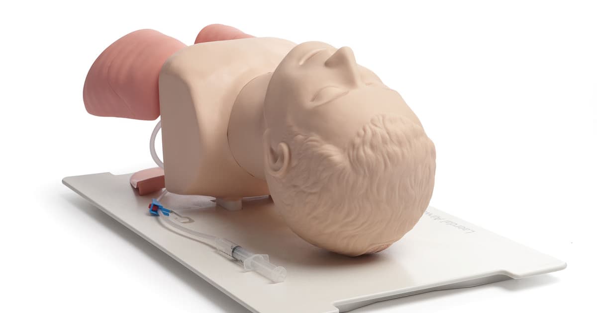 レールダル　乳児気道管理トレーナー 新生児気道管理トレーナ | Laerdal Medical