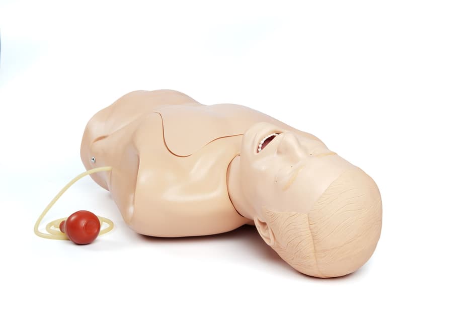 NGチューブ・気道ケアトレーナ | Laerdal Medical