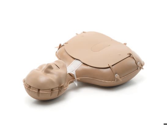 Torse de remplacement Mini Anne Plus 