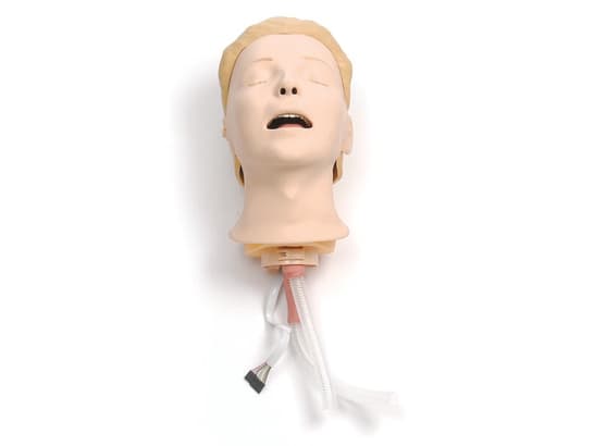 Resusci Anne Simulator Airway Head