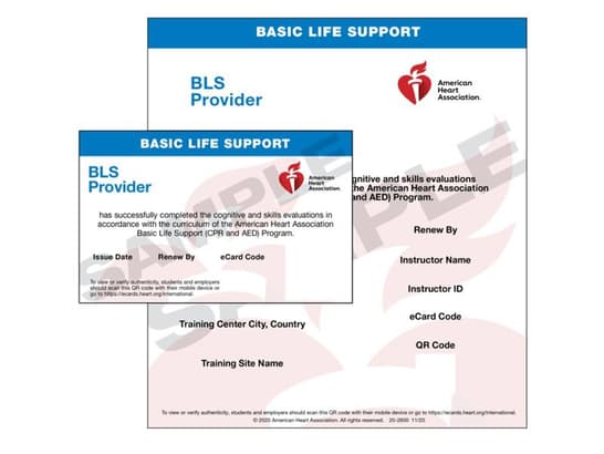 BLS Provider Ecard International English