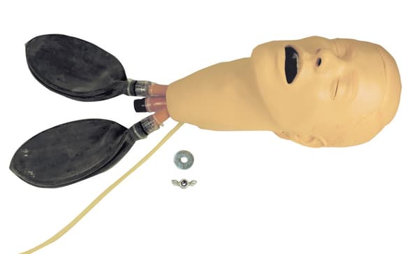 HEAD; INTUBATION W/ LUNG ADULT MALE-STD