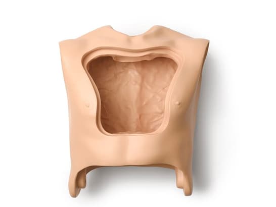 Torse Ultimate Hurt seul
