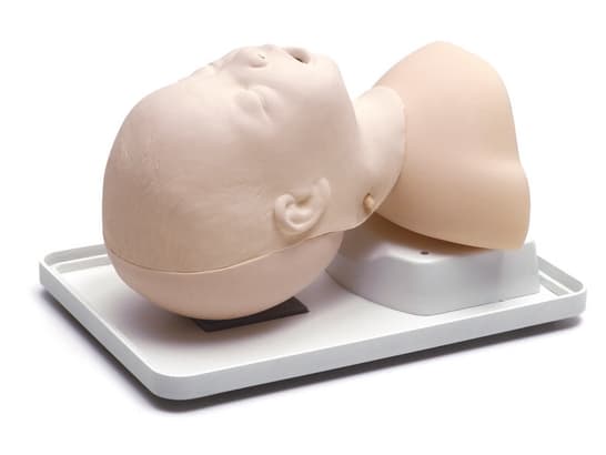 Infant Airway Management Trainer