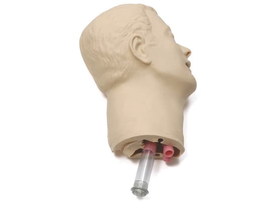 Head skin & airways
