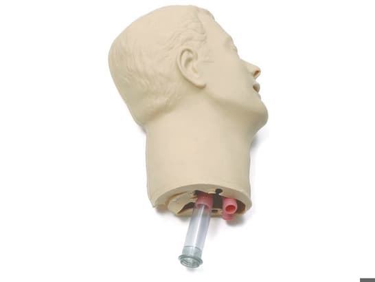 Head skin & airways ALS/AMT