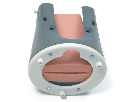 Neck, Complete, Airway Management Trainer