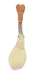 Trachea, soft, for Cricoid stick trainer