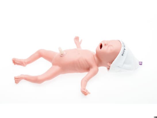 Premature Anne Task Trainer 