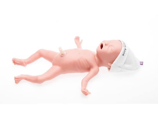 Premature Anne Task Trainer