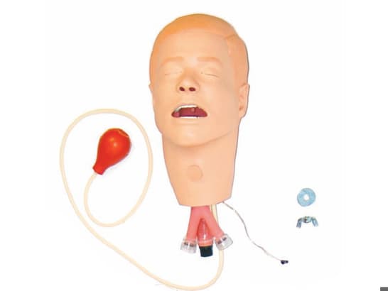 Kopf mit Tracheostoma für Nursing Kelly