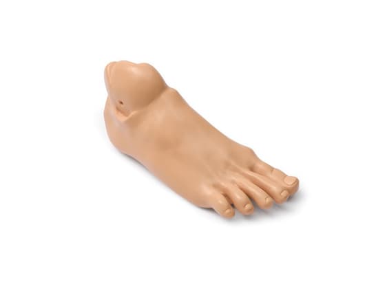 FOOT; RT-ADLT (S)