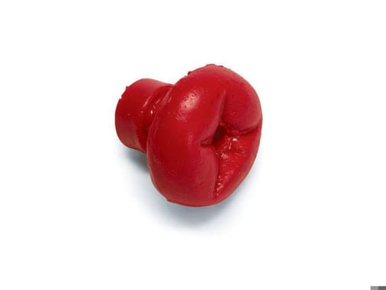 Anus artificiel type souple avec orifice