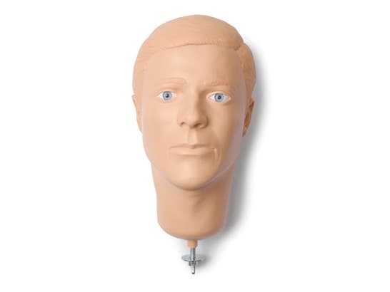HEAD; AM-HARD-PNTD (S)