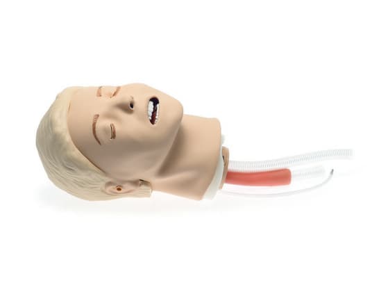 Resusci Anne Airway Head Upgrade Kit