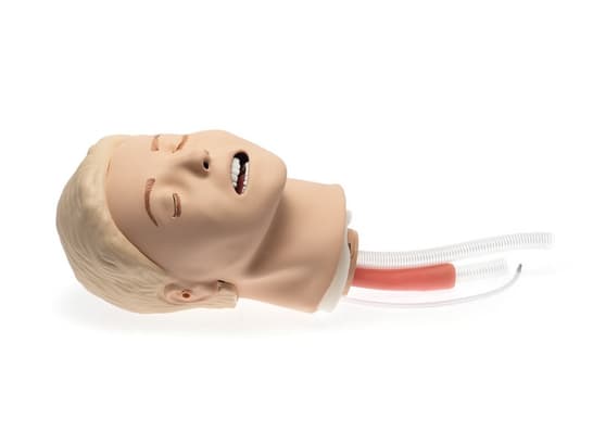 Resusci Anne Airway Trainer Update Kit, 