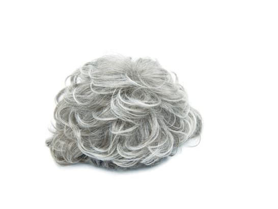 Perruque cheveux gris Nursing Anne Sim 
