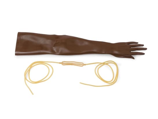 Huid en venen multiveneuze IV-arm voor multiveneuze IV-arm,volwas vrouw zwart