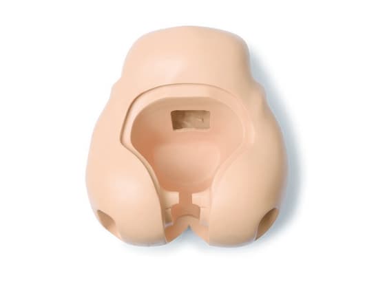 PELVIS; AFH-NO BRDGE (S) ADULT FEMALE HOSP